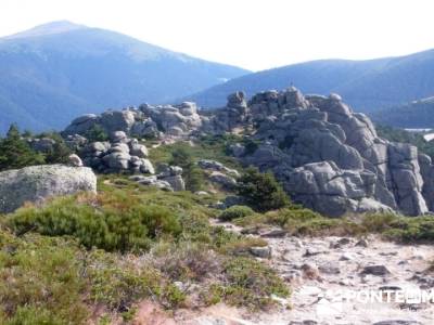 Senda Herreros - Puerto de Navacerrada - Valle de Fuenfría - Ducha de los Alemanes -Embalse Berceas